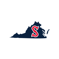 salemredsox baseball virginia salem redsox Sticker
