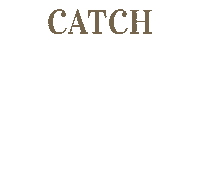 Food Fish Sticker by TheSeafoodBar