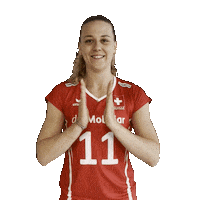 Clap Eurovolley Sticker by NUCVolleyball
