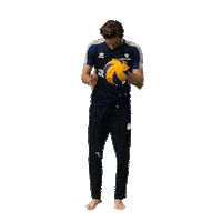 julien lyneel volleyball Sticker by EuroVolley2019Fr