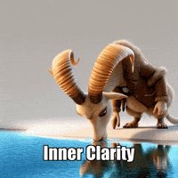 Wisdom Reflection GIF by Radiantelope