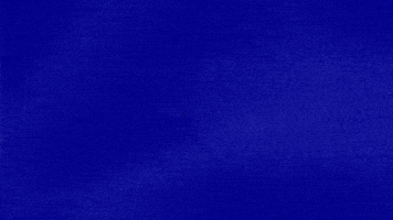 Celebrityjeopardy GIF by Jeopardy!