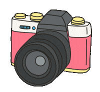 Camera Sticker by Minitravolta