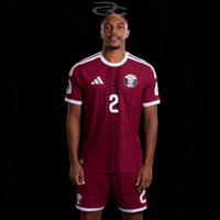 Fifa World Cup Qatar GIF by Respective