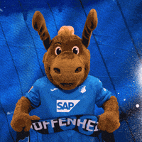 Sport Bundesliga GIF by TSG Hoffenheim