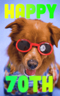 Getting Old Happy Birthday GIF by Sealed With A GIF