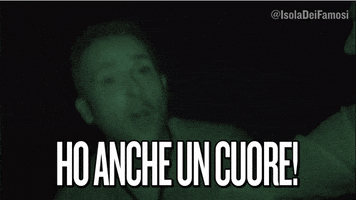 pierluigi diaco GIF by Isola dei Famosi