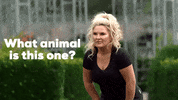 Sassy Tanya Bardsley GIF by Real Housewives Of Cheshire