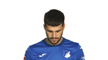 Look Up Tsg Hoffenheim Sticker by Bundesliga
