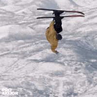 proskijor skiing wintersports skijoring proskijor GIF