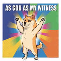 Celebrating Shiba Inu GIF by Doge Pound