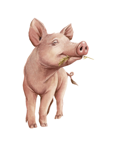 kevin bacon Sticker by The Grounds