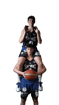 LagunaSharks basketball romania slam 9 Sticker