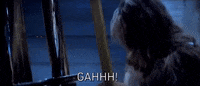 the empire strikes back chewie GIF by Star Wars