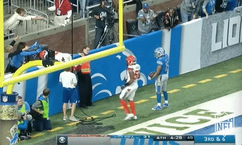 Detroit Lions Football GIF by NFL