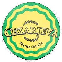 Salad Solata Sticker by taprav