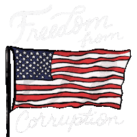 American Flag House Sticker by Creative Courage