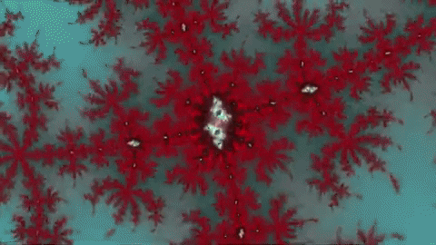 Lsd Visuals GIF by xponentialdesign