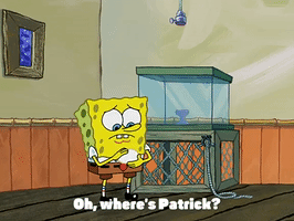 season 3 episode 13 GIF by SpongeBob SquarePants