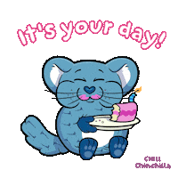 Happy Birthday Eating Sticker by VeeFriends