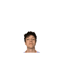 Piombi Sticker by Fenice Pallavolo Roma