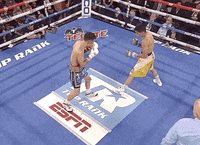 toprank fight fighting espn fighters GIF