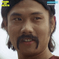 Martial Arts Smile GIF by Arrow Video
