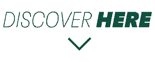 Discover Here Sticker by Henkel