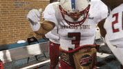 Red Wolves Celebration GIF by Arkansas State Athletics