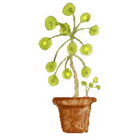 Home Plant Sticker