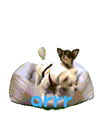 아르르 Sticker by arrr_official