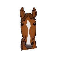 Horse Breathe Sticker by bitopEQUI