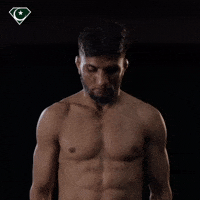 Ufc Mma GIF