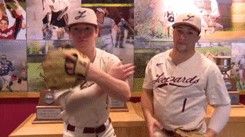 Baseball Johnson GIF by Lafayette Leopards