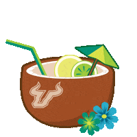 South Florida Summer Sticker by University of South Florida