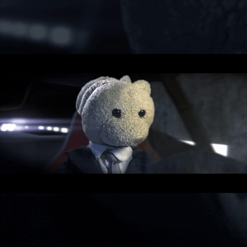 bunny driving GIF by Zackary Rabbit
