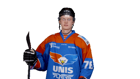 unisflyers giphyupload goal eagles flyers Sticker