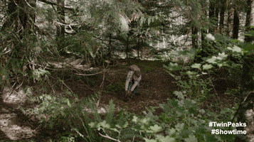 Twin Peaks Fall GIF by Twin Peaks on Showtime