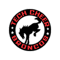 tumbletech broncos techcheer Sticker