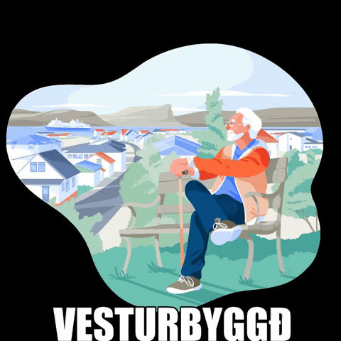 vesturbyggd giphygifmaker cruise ship patro vesturbyggð GIF