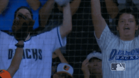 Major League Baseball Sport GIF by MLB