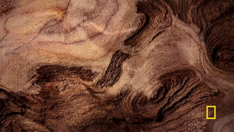 One Strange Rock GIF by National Geographic Channel