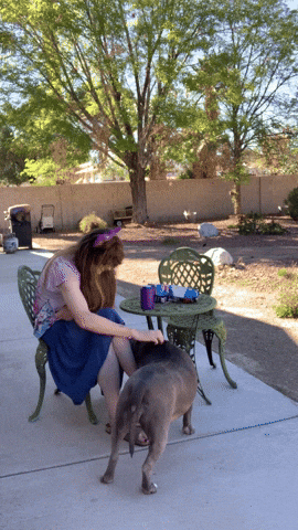 Brenda702 giphyupload GIF