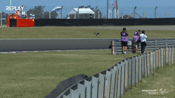 Sport Wow GIF by MotoGP