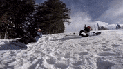 bigblue GIF by Utah State University