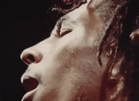 Bob Marley And The Wailers Reggae GIF by Bob Marley