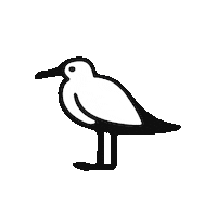 Sad Cry Sticker by newhollandisland