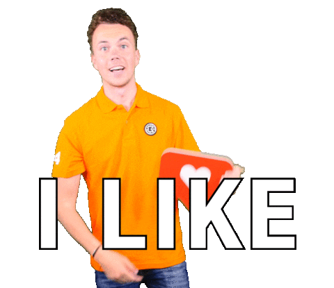 Nederlands Elftal Football Sticker by Bracket Official
