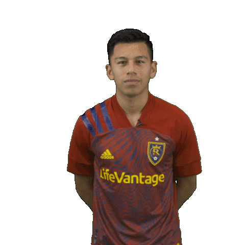 Major League Soccer Sticker by realsaltlake