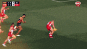 Australian Football League Afl GIF by Sydney Swans